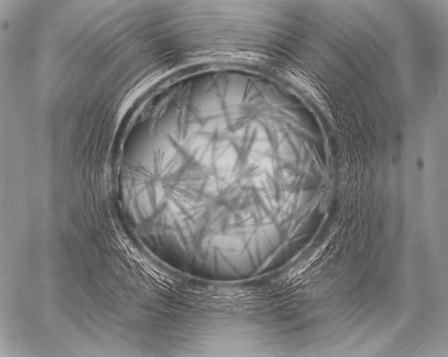 X0000059780928200511111505