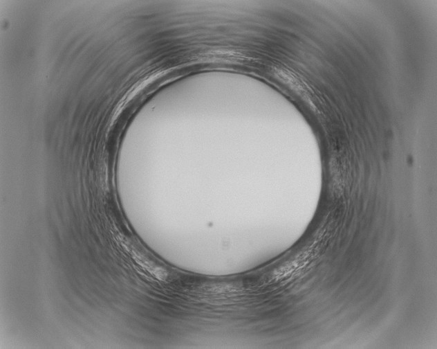 X0000059780931200511111506