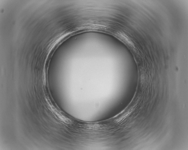 X0000059780940200511111506