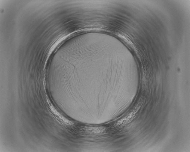 X0000059780941200511111506