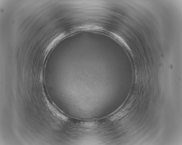 X0000059780946200511111506
