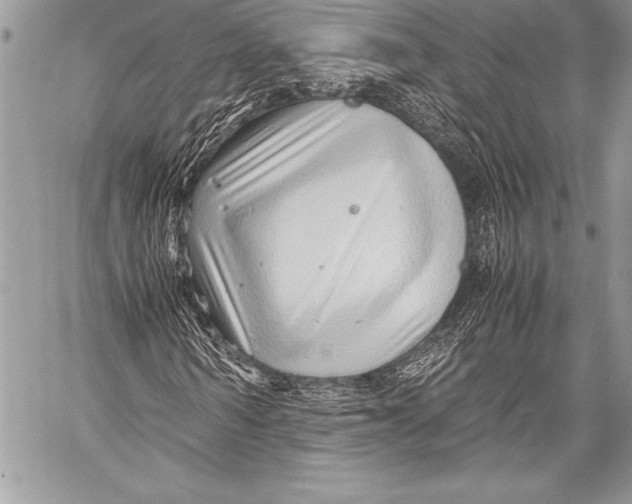 X0000059780962200511111505