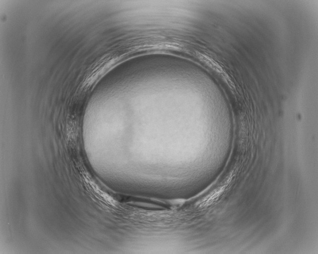 X0000059780985200511111505