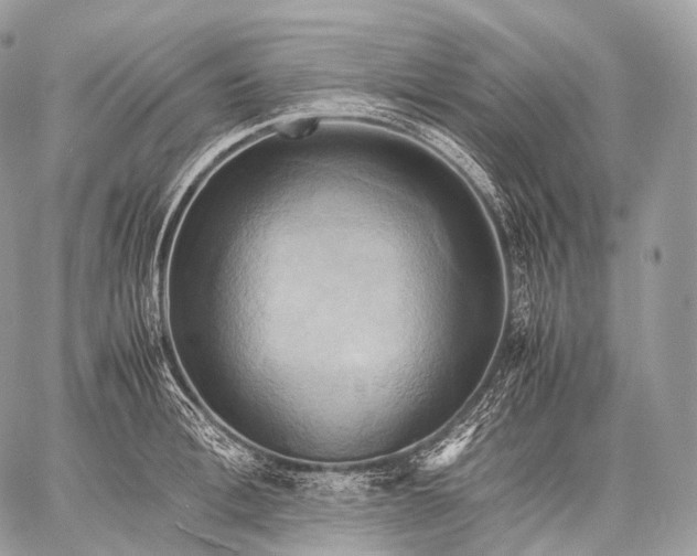 X0000059780996200511111505