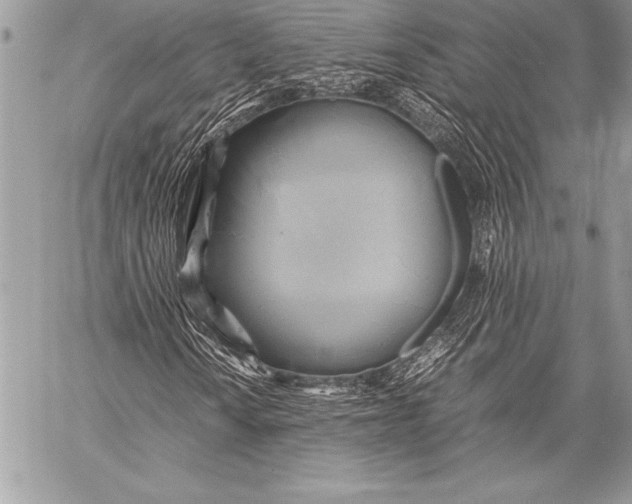 X0000059781010200511111504