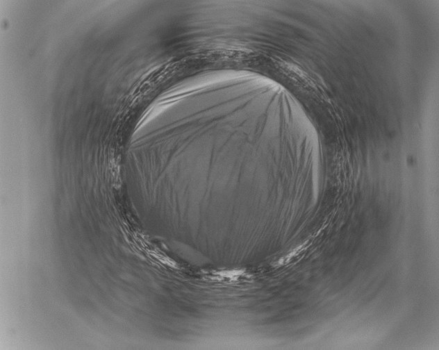 X0000059781013200511111504