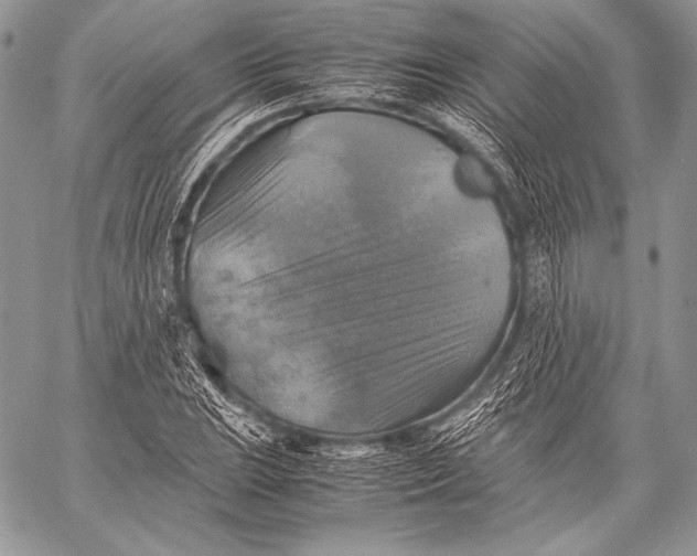 X0000059781023200511111504