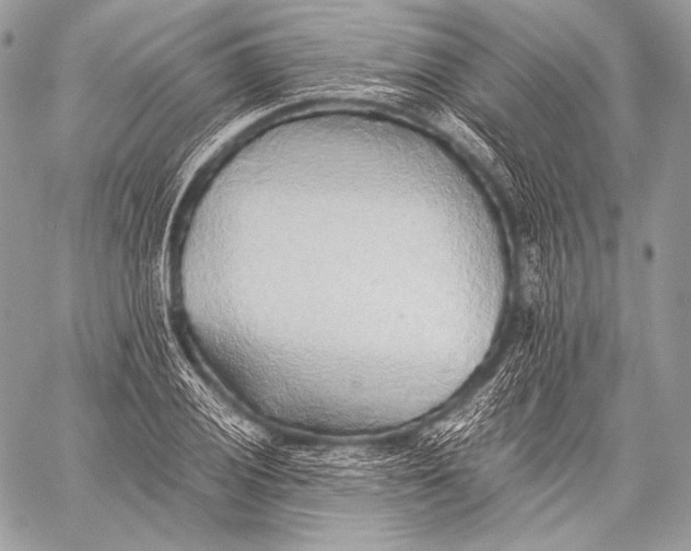 X0000059781028200511111504