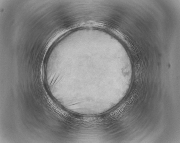 X0000059781032200511111504