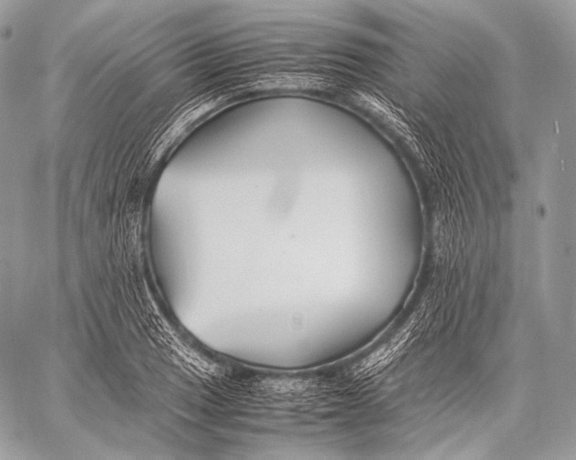 X0000059781033200511111504