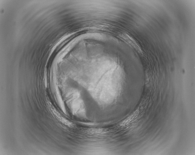 X0000059781036200511111504