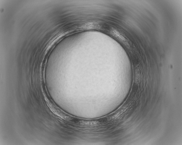 X0000059781039200511111504