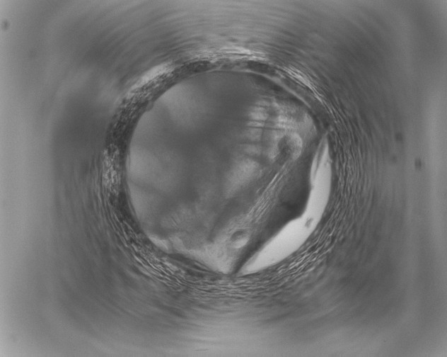 X0000059781063200511111503