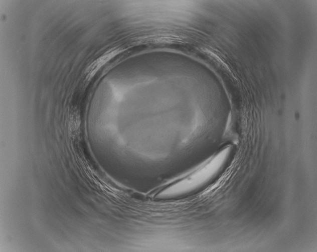 X0000059781065200511111503