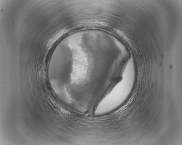 X0000059781071200511111503
