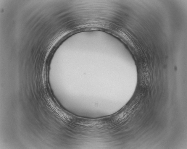 X0000059781076200511111503