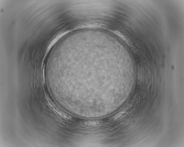 X0000059781078200511111503