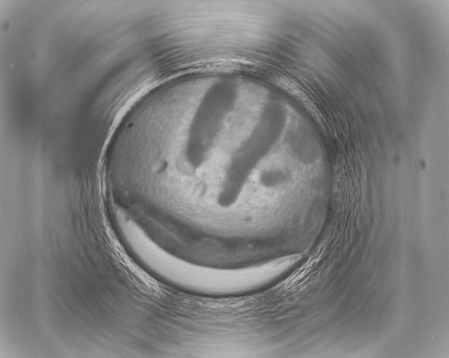 X0000059781083200511111503