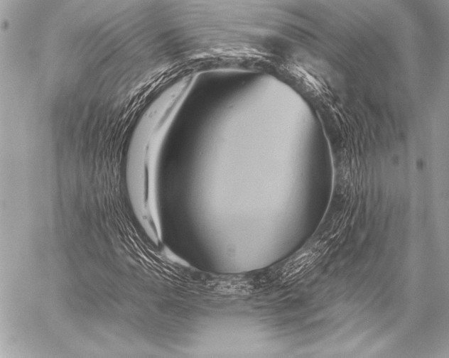 X0000059781110200511111502