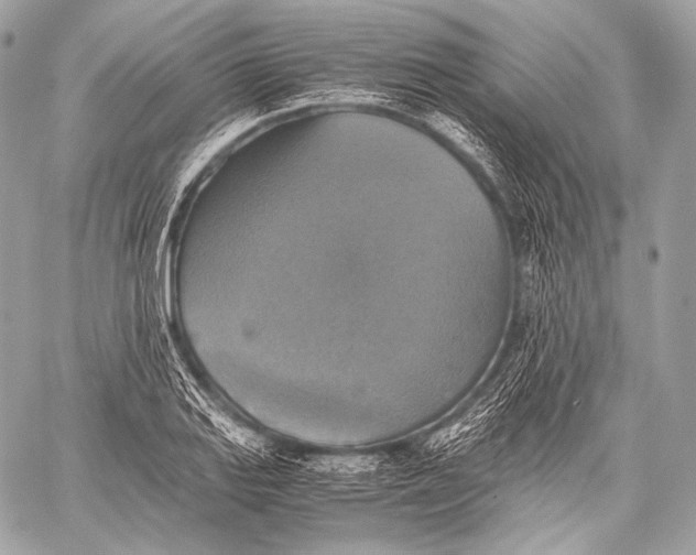 X0000059781127200511111502