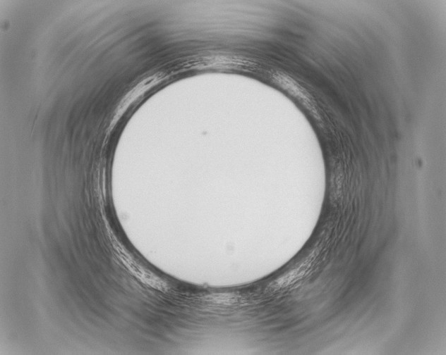 X0000059781130200511111502