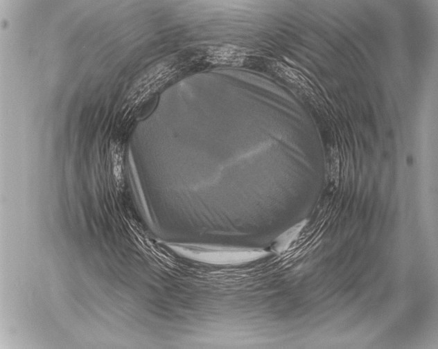X0000059781154200511111502