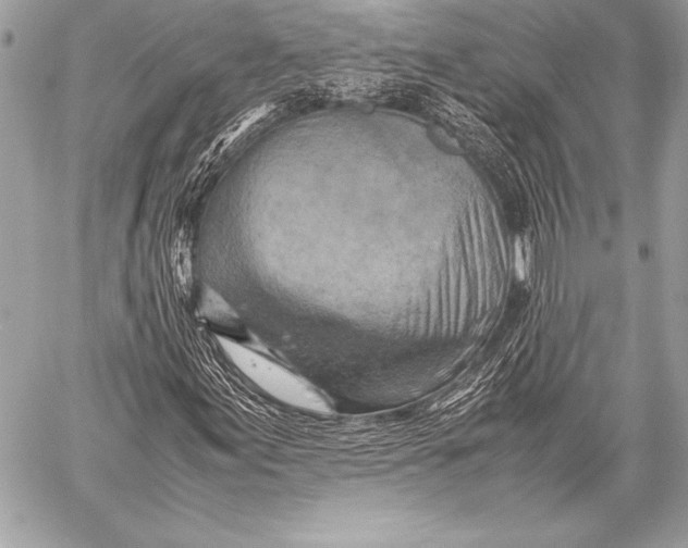 X0000059781155200511111502