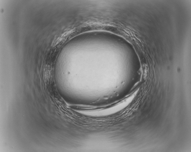 X0000059781157200511111502