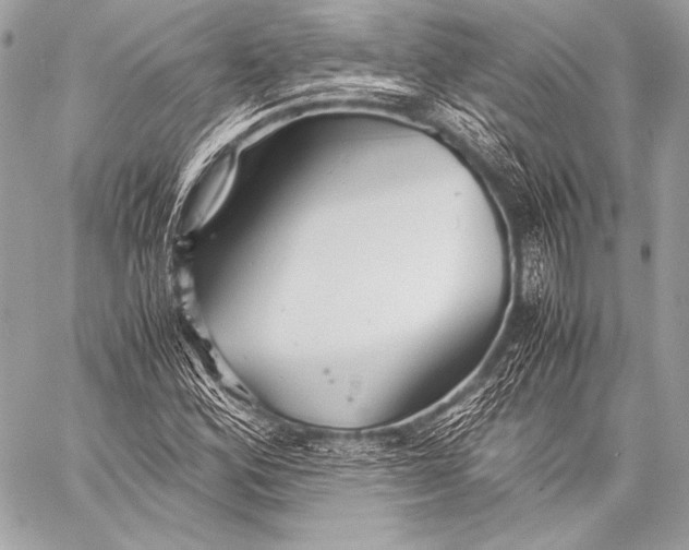 X0000059781164200511111502