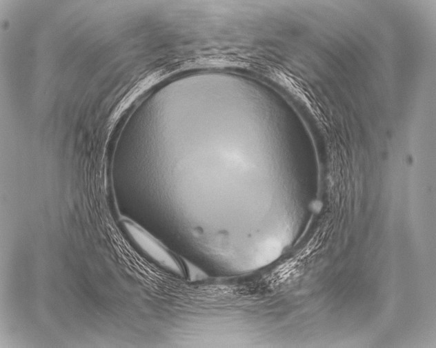 X0000059781173200511111502