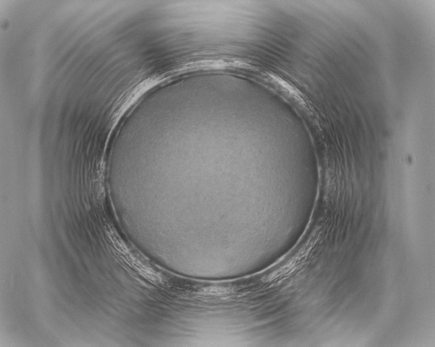 X0000059781178200511111502