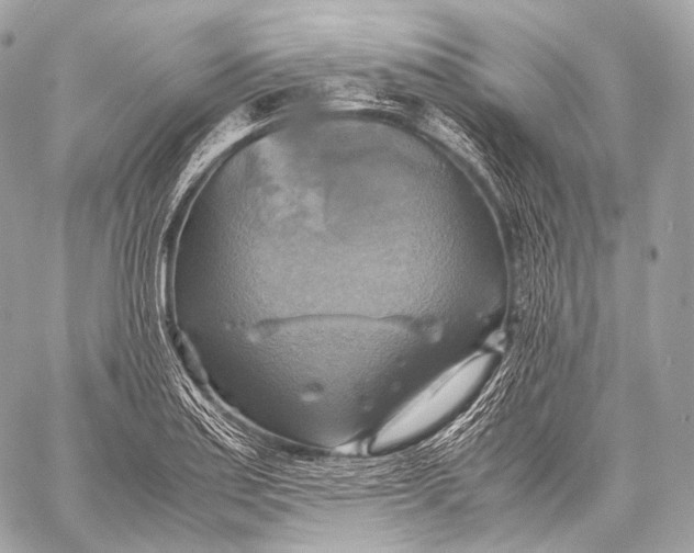 X0000059781179200511111502