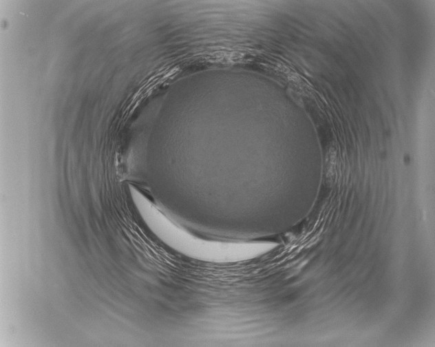 X0000059781202200511111500