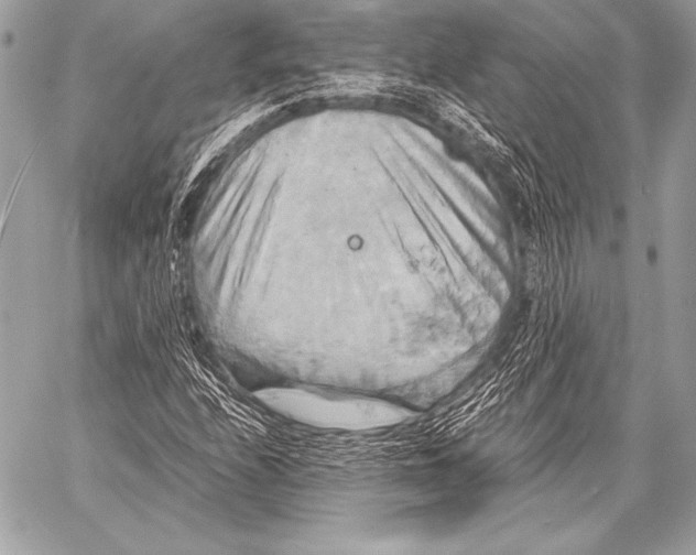 X0000059781208200511111501