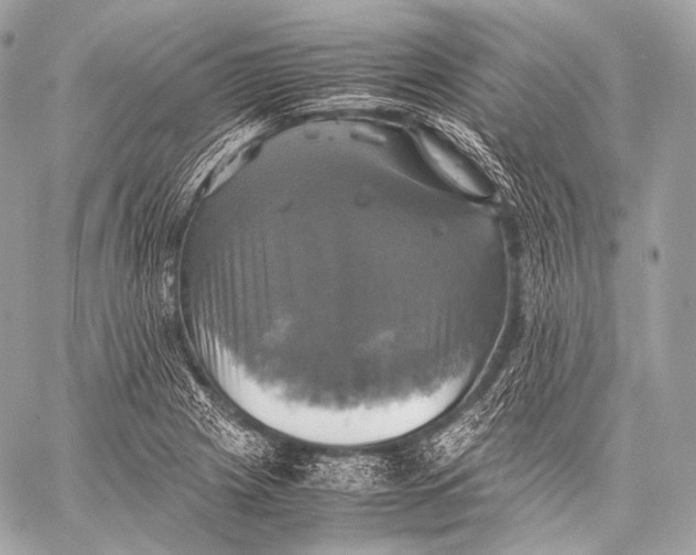 X0000059781225200511111501