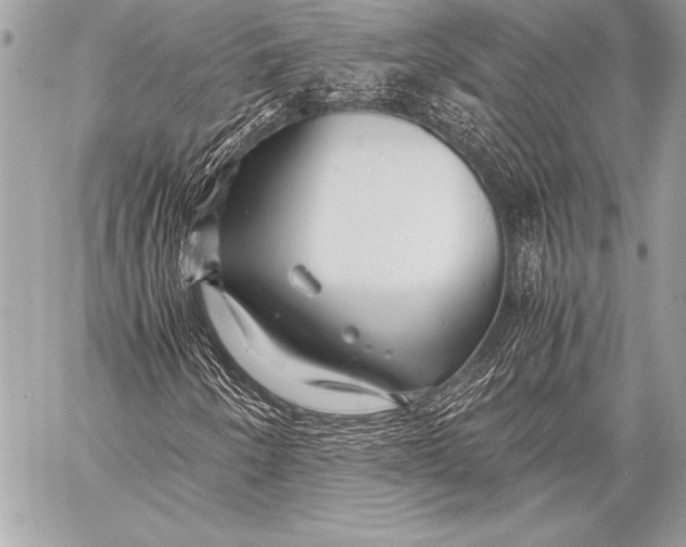 X0000059781250200511111500