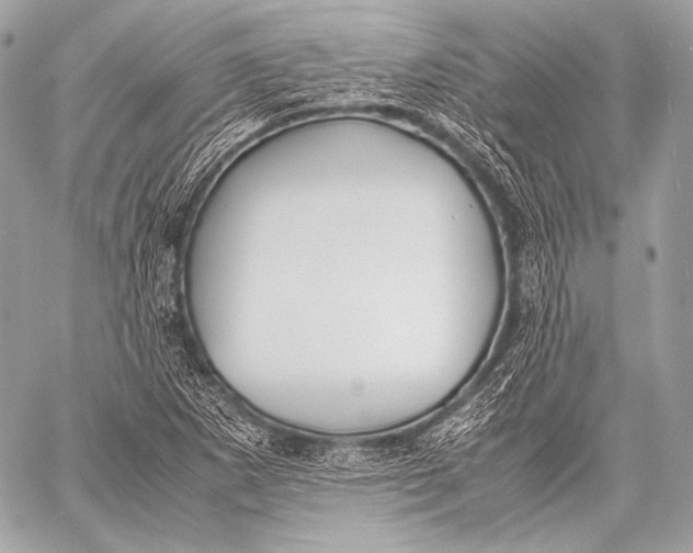 X0000059781265200511111500
