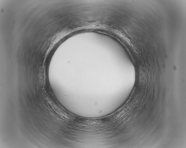 X0000059781270200511111500