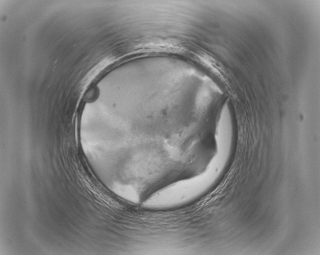 X0000059781275200511111500