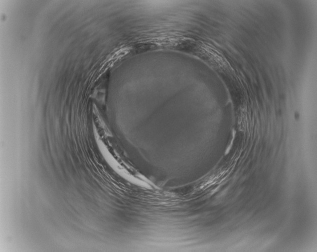 X0000059781298200511111459