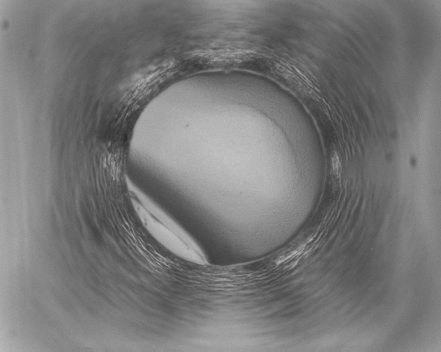 X0000059781300200511111459