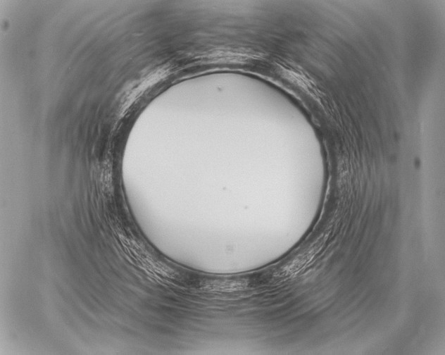X0000059781307200511111459