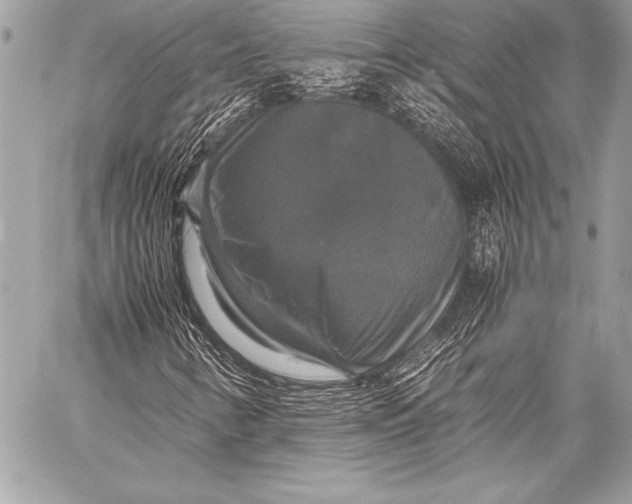 X0000059781346200511111459