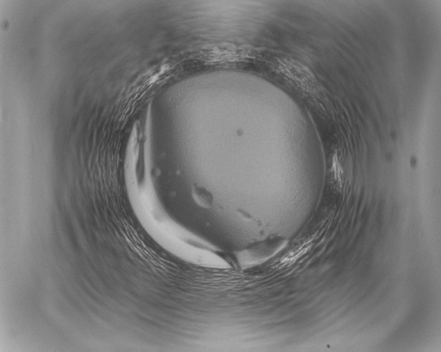 X0000059781348200511111459