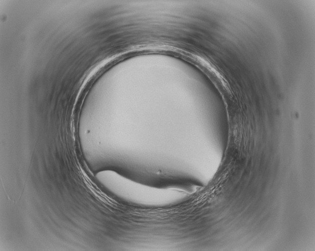 X0000059781372200511111458