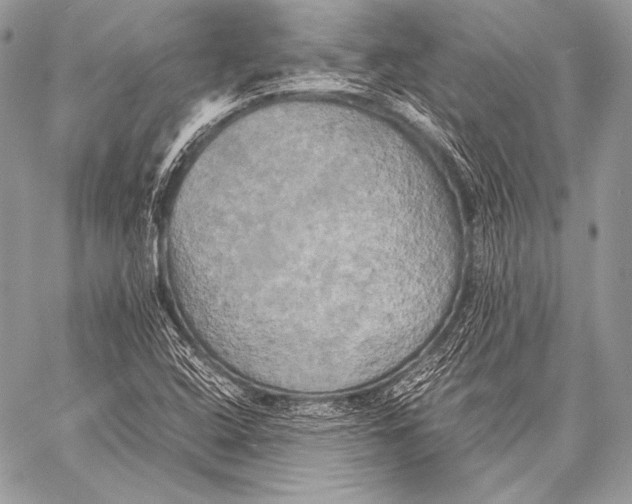 X0000059781408200511111457