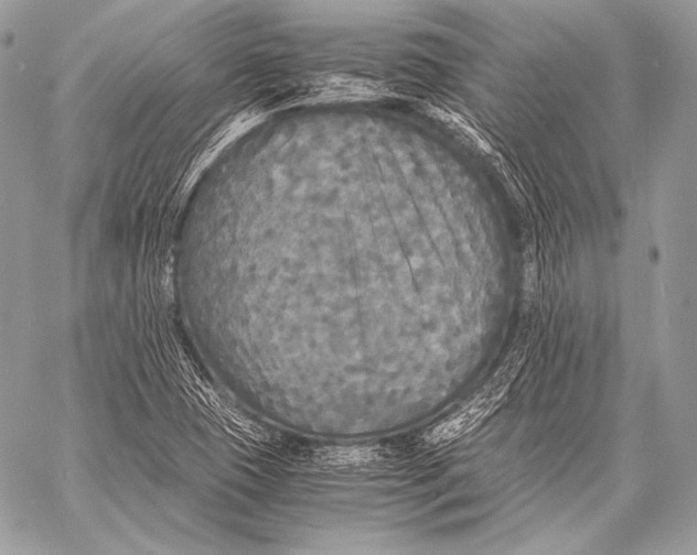 X0000059781409200511111457