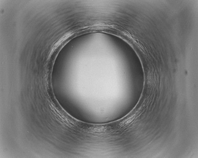 X0000059781410200511111458