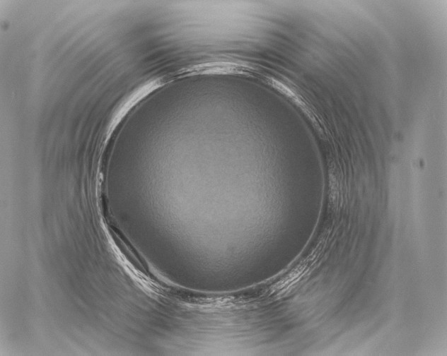 X0000059781426200511111458