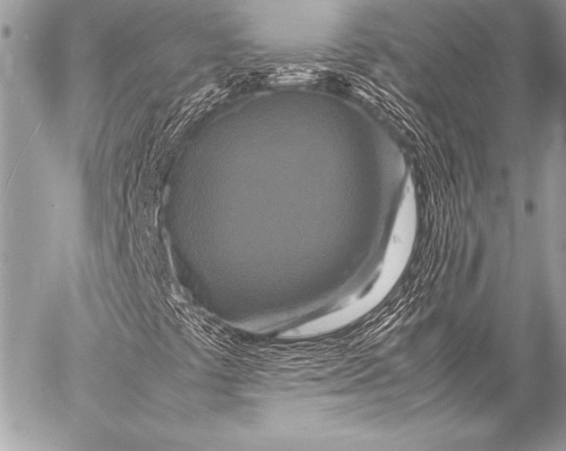 X0000059781441200511111457